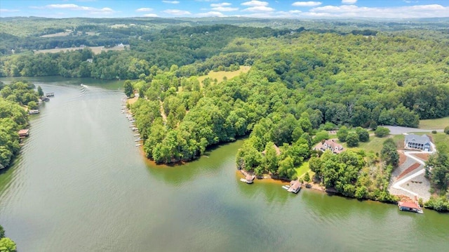 aerial view with a water view and a view of trees