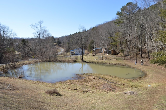 view of water feature