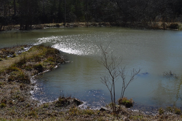 view of water feature