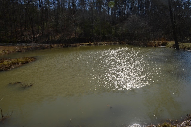 view of water feature with a forest view