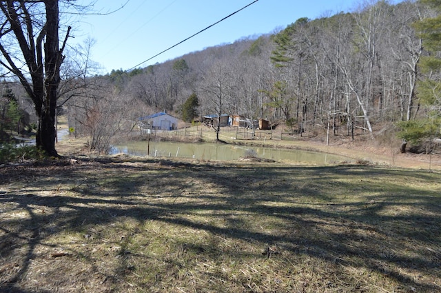 view of yard with a forest view and a water and mountain view