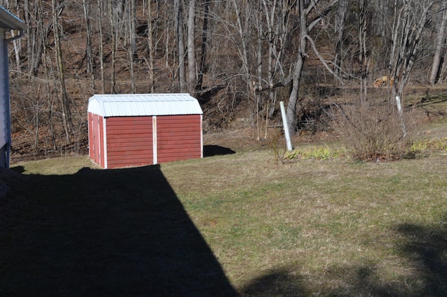 view of yard with a shed and an outdoor structure