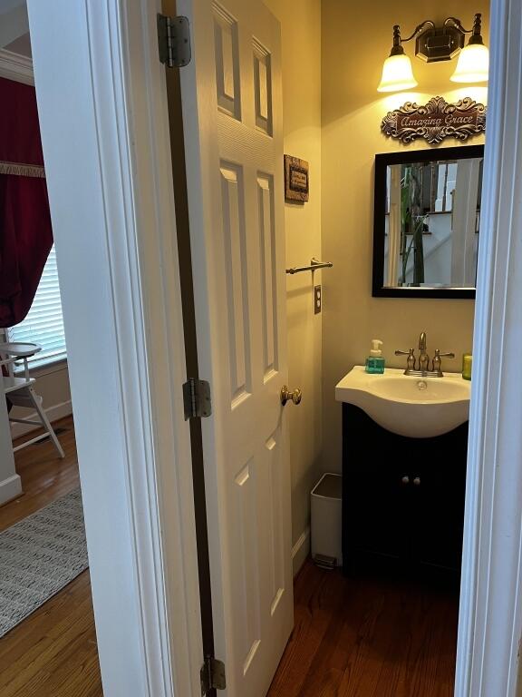 bathroom with wood finished floors and vanity