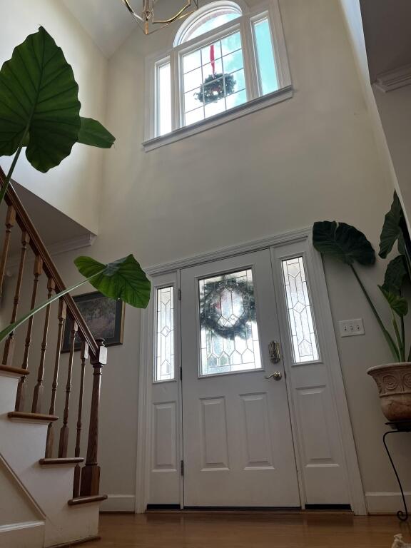 entryway featuring hardwood / wood-style flooring and a high ceiling