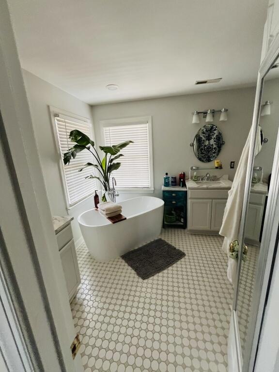 bathroom featuring a freestanding tub, visible vents, and vanity