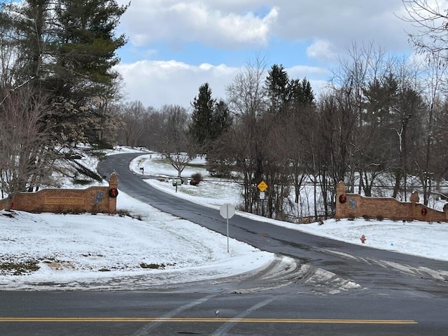 view of street with traffic signs