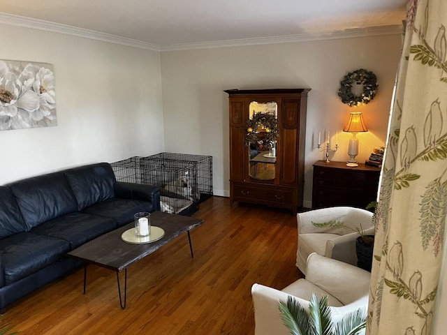 living area featuring ornamental molding and dark wood-style flooring