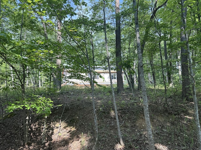 LOT19 Cedar Bluff Ln, Hardy, VA 24101 - view of local wilderness