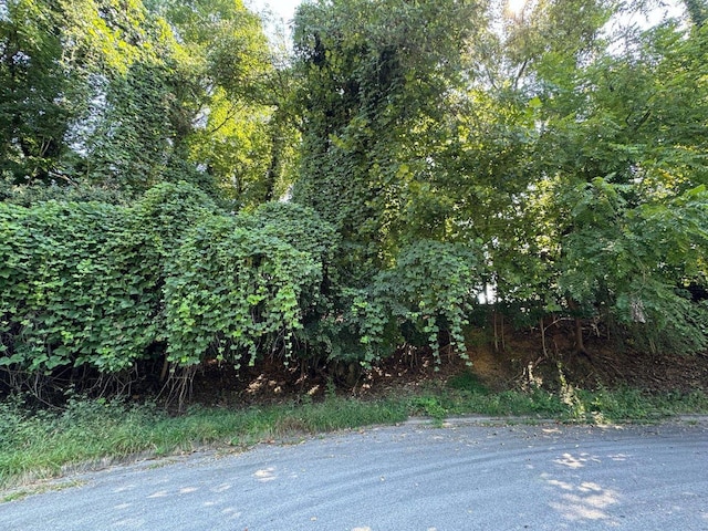 2620 Beverly Blvd SW, Roanoke VA, 24015 land for sale