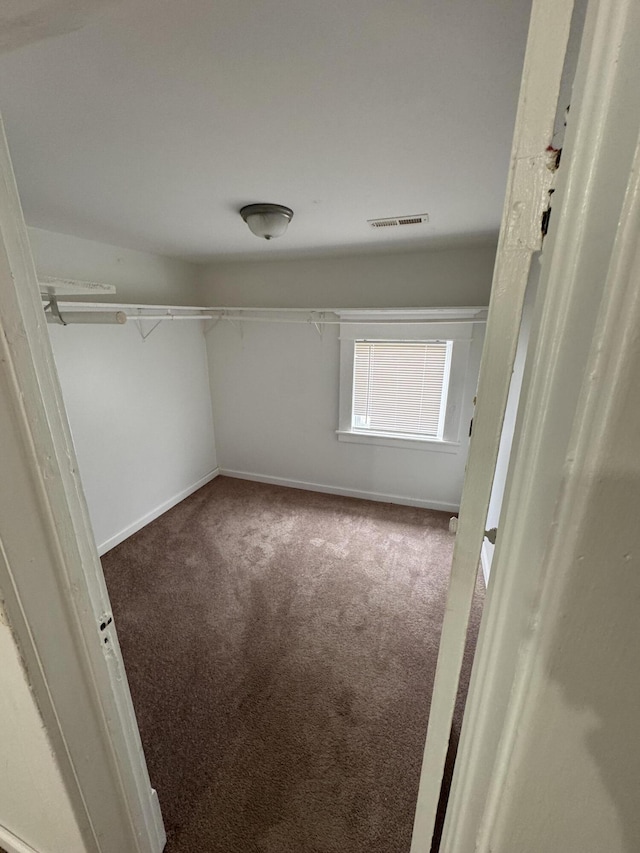 spacious closet with carpet floors