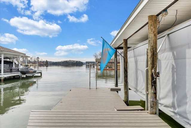 dock area with a water view