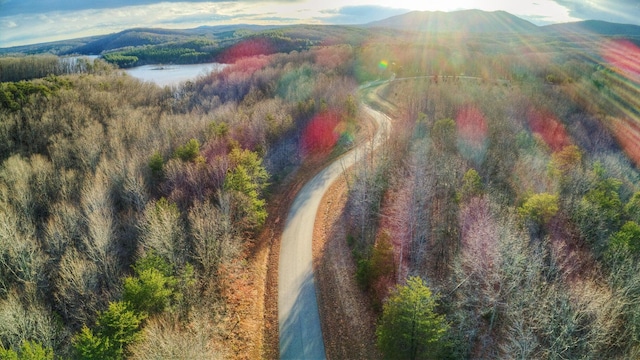 LOT6 Robin Ridge Ct, Pittsville, VA 24139