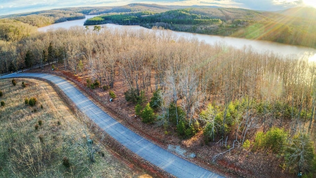 LOT6 Robin Ridge Ct, Pittsville, VA 24139