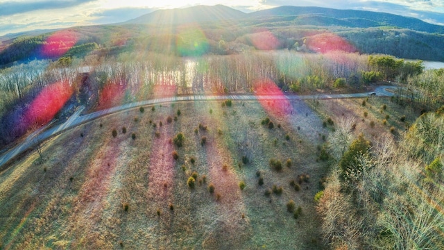 LOT6 Robin Ridge Ct, Pittsville, VA 24139