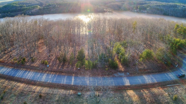 LOT6 Robin Ridge Ct, Pittsville, VA 24139