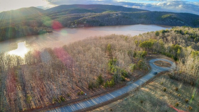 LOT6 Robin Ridge Ct, Pittsville, VA 24139