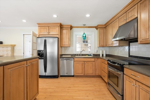 kitchen with dark countertops, appliances with stainless steel finishes, light wood-style floors, a sink, and under cabinet range hood