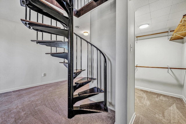 stairs featuring carpet floors