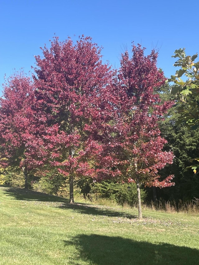 1057 Barrow Hills Dr, Huddleston, VA 24104 - view of grassy yard