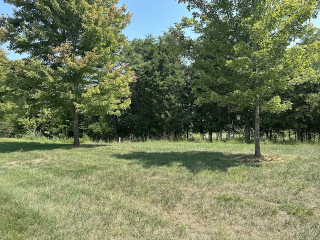 1057 Barrow Hills Dr, Huddleston, VA 24104 - view of yard