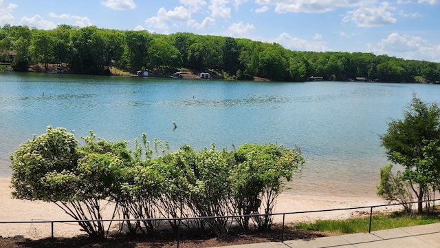 1057 Barrow Hills Dr, Huddleston, VA 24104 - water view with fence