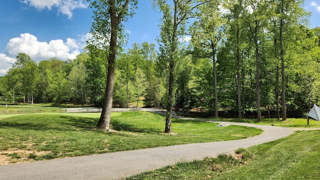1057 Barrow Hills Dr, Huddleston, VA 24104 - surrounding community with a lawn