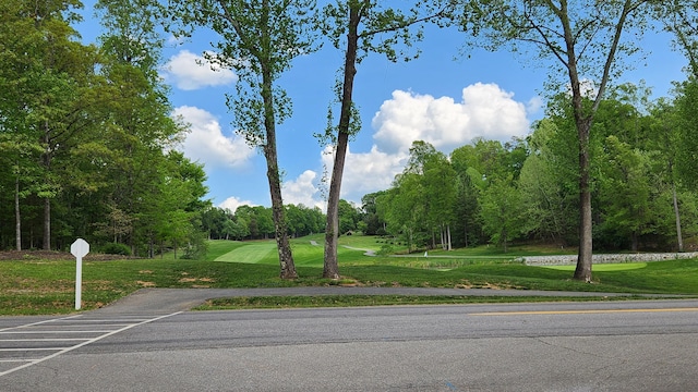 1057 Barrow Hills Dr, Huddleston, VA 24104 - view of asphalt street featuring traffic signs, view of golf course, a water view, and view of scattered trees