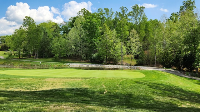1057 Barrow Hills Dr, Huddleston, VA 24104 - surrounding community featuring a putting area, view of golf course, and a yard