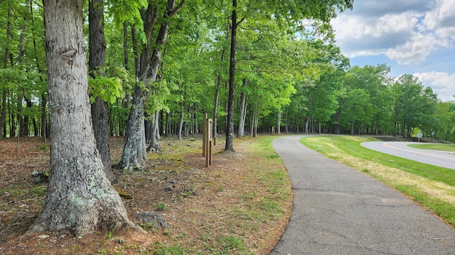 1057 Barrow Hills Dr, Huddleston, VA 24104 - view of home's community featuring a yard and a forest view