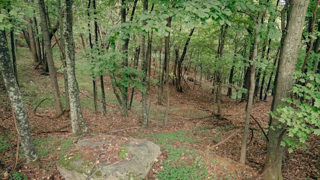 Listing photo 3 for 0 Crowell Gap Rd, Boones Mill VA 24065