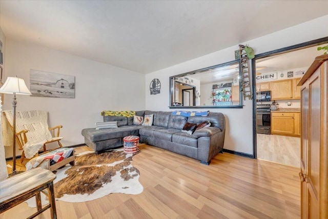 living room featuring light hardwood / wood-style flooring