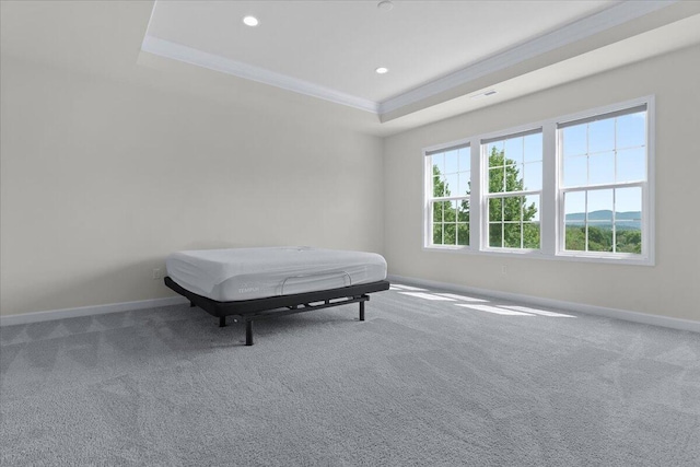 carpeted bedroom featuring crown molding, a mountain view, and a tray ceiling