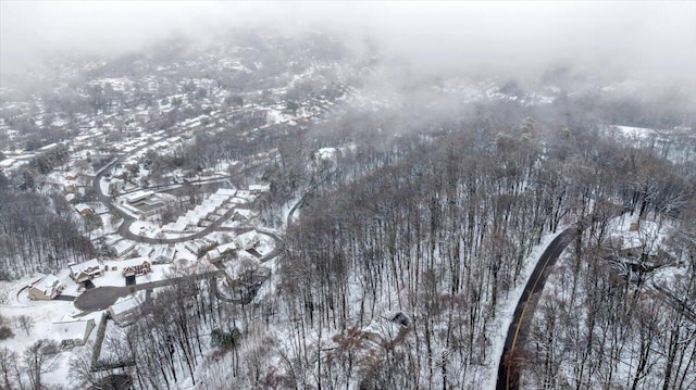 view of snowy aerial view