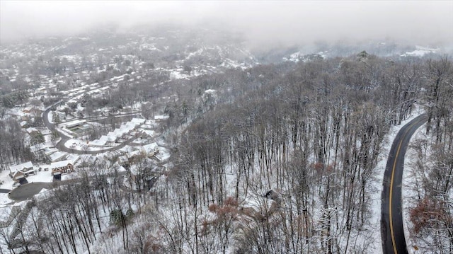 view of snowy aerial view