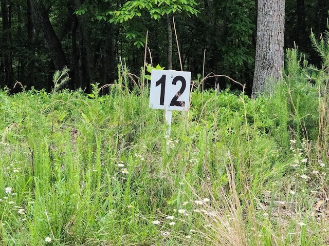 LOT12 Belle Isle Dr, Union Hall VA, 24176 land for sale