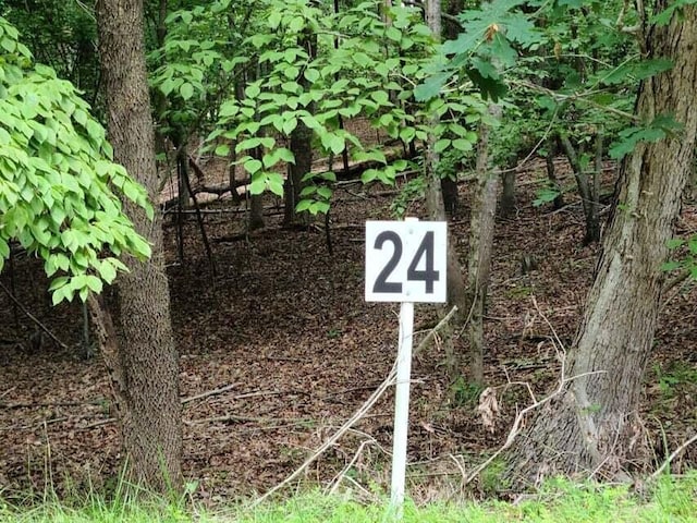 LOT24 Belle Isle Dr, Union Hall VA, 24176 land for sale