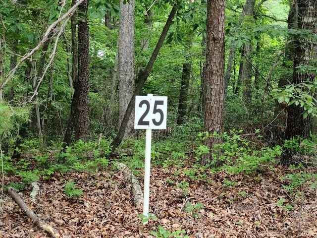 LOT25 Belle Isle Dr, Union Hall VA, 24176 land for sale