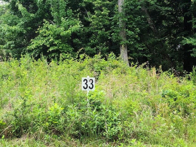 LOT33 Dillards Hill Rd, Union Hall VA, 24176 land for sale