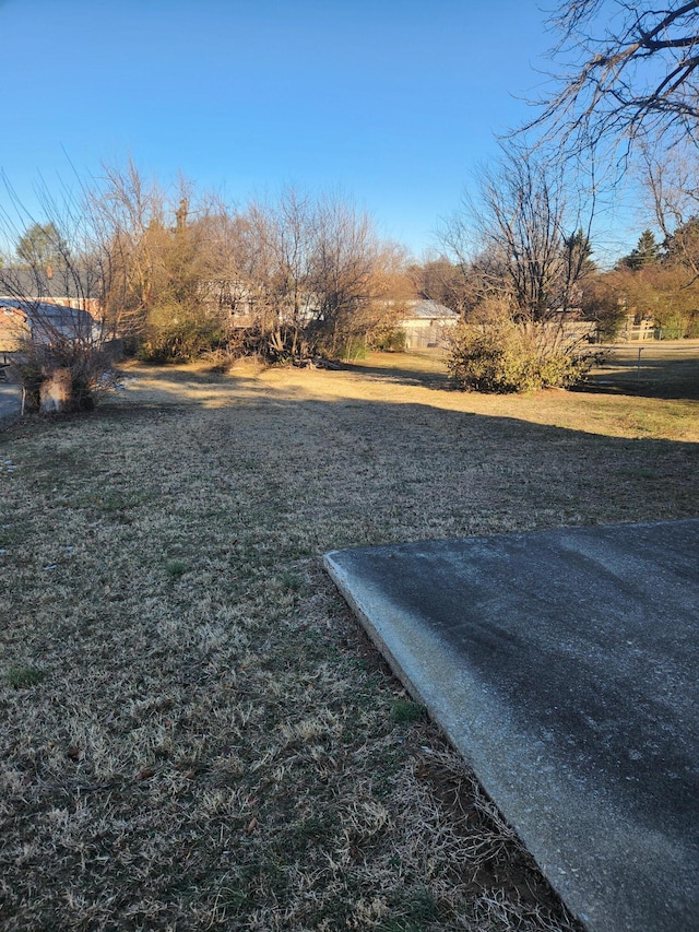 view of yard