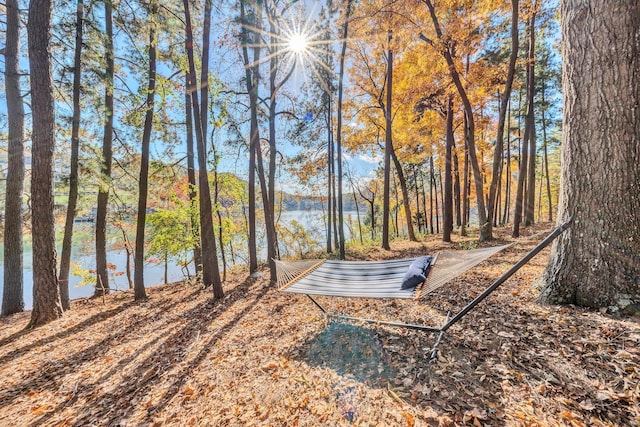 view of property's community featuring a water view