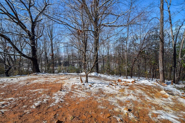 view of yard covered in snow