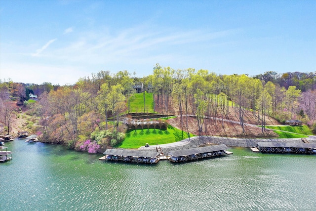 drone / aerial view with a water view