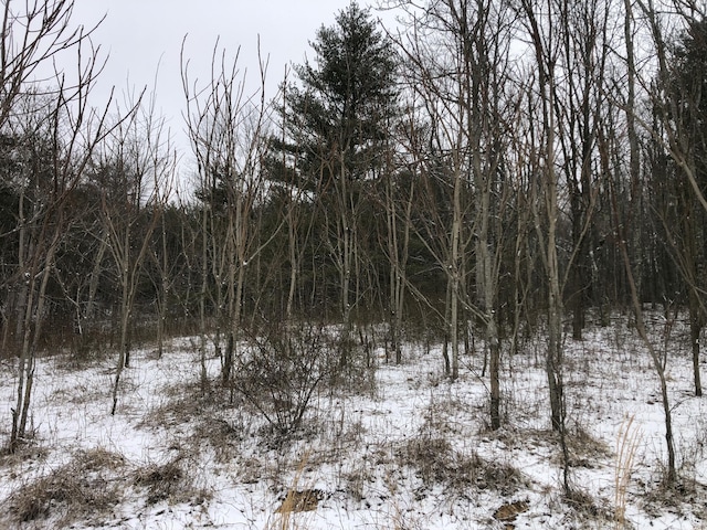 view of snowy landscape