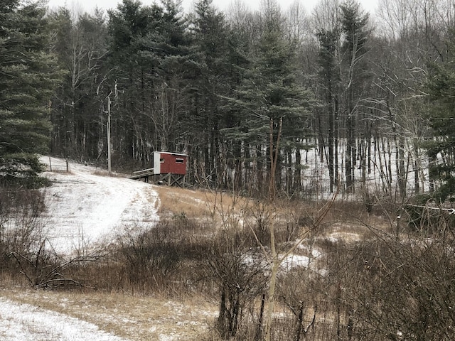 view of street featuring a wooded view