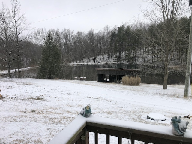 view of snowy yard