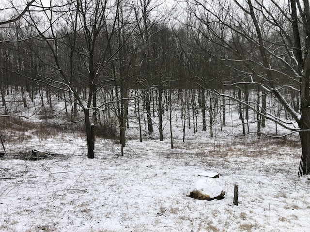 view of snowy landscape