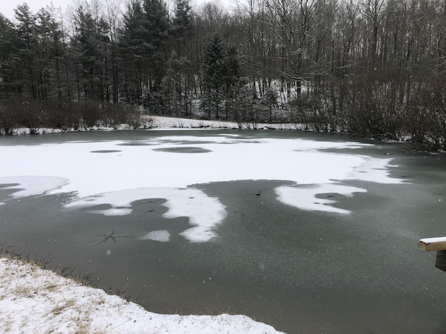 view of yard covered in snow