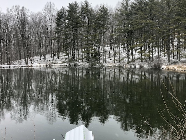 water view with a view of trees