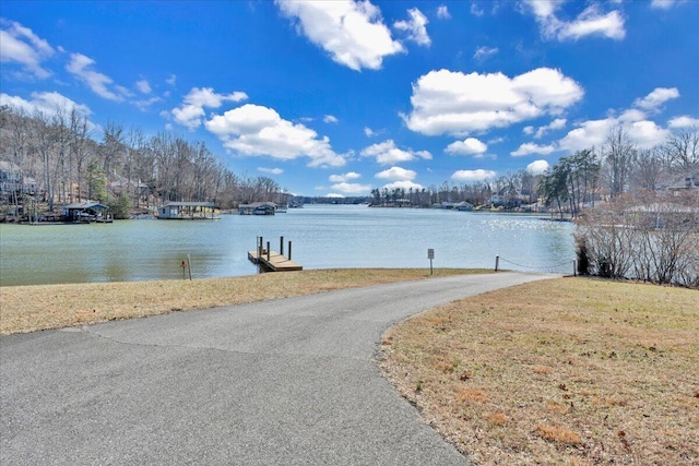 water view featuring a boat dock