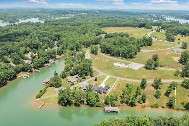 drone / aerial view featuring a water view and a wooded view